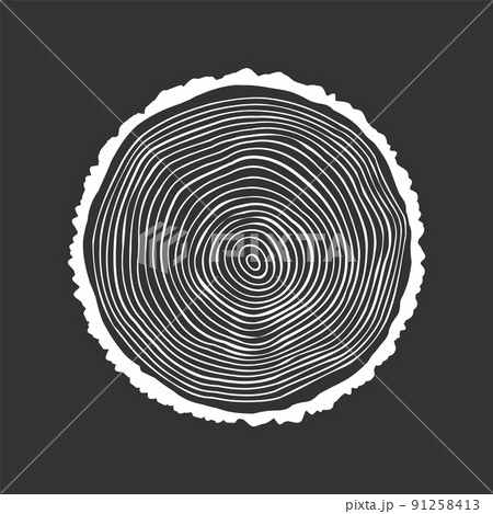 Round tree trunk cut, sawn pine or oak slice. Saw cut timber, wood. White wooden texture with tree rings. Hand drawn sketch. Vector illustration 91258413