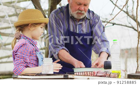 granddaughter helps grandfather cook barbecue and puts the meat on the grill 91258885
