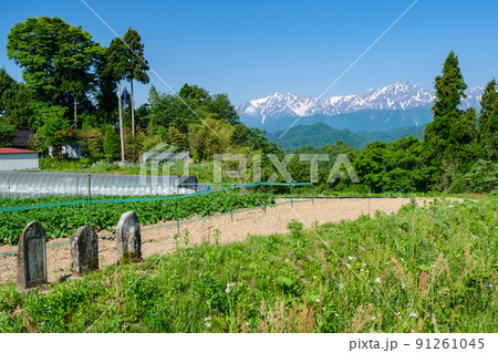 春山と石仏 91261045