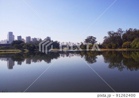 サンパウロの市街風景と公園の池　ブラジル 91262400