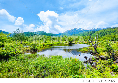初夏の乗鞍高原（オソメ池と乗鞍岳） 91263585