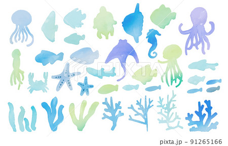 水彩画。水彩タッチのマリンイラストセット。海の生き物の水彩挿絵。夏の水彩マリンイラスト。 91265166