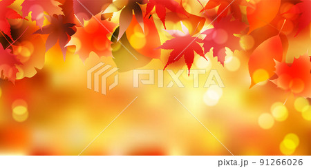 紅葉　もみじ　秋　背景 91266026
