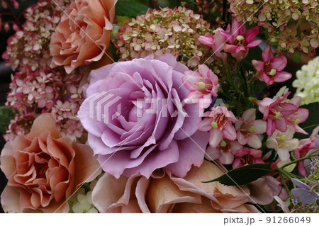 6月の花たち、バラとアナベル 6月の花たち、バラとアナベル 91266049