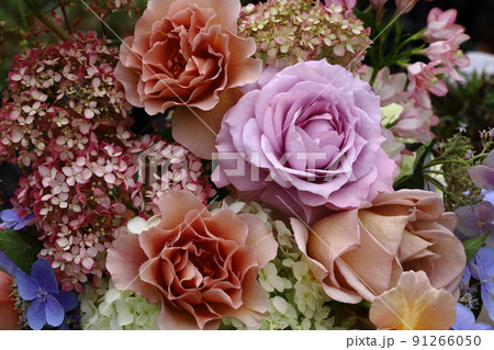 6月の花たち、バラとアナベル 6月の花たち、バラとアナベル 91266050