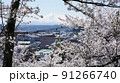 桜から垣間見える鳥海山 91266740