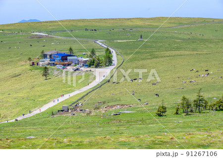 【長野県】美ヶ原高原　牛伏山からの眺め 91267106