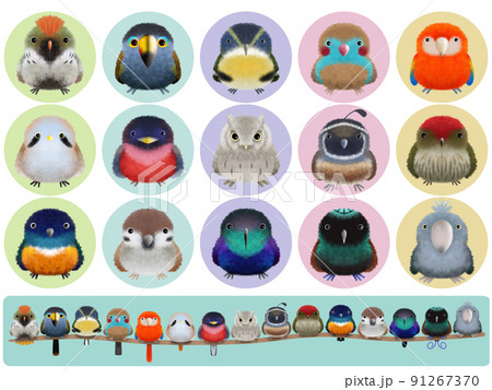 フワフワ鳥シリーズC  背景付き 91267370