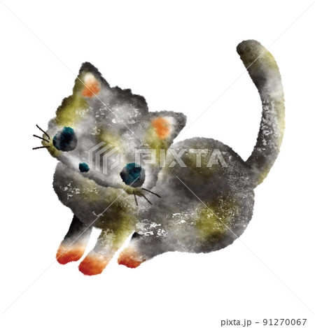 猫 91270067