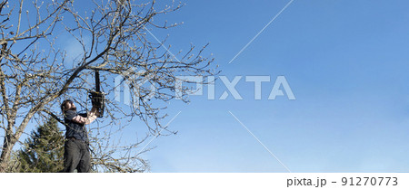 Man pruning or sawing apple tree using chainsaw. farmer sowing the dry branches of apple trees Man pruning or sawing apple tree using chainsaw. farmer sowing the dry branches of apple trees 91270773