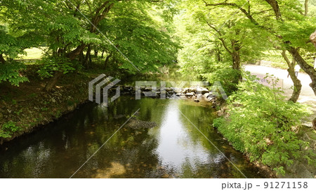 高敞 禅雲寺 木 91271158