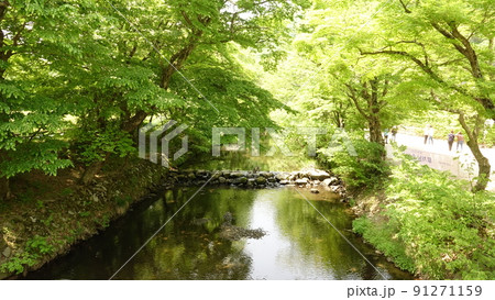 高敞 禅雲寺 木 91271159