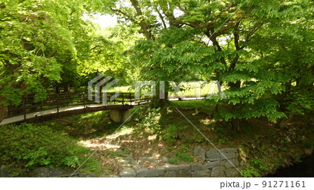高敞 禅雲寺 木 91271161