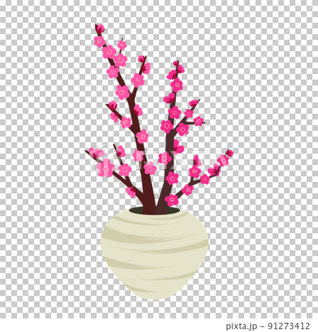 赤、ピンクの梅の花が生けられた花瓶のイラスト 91273412