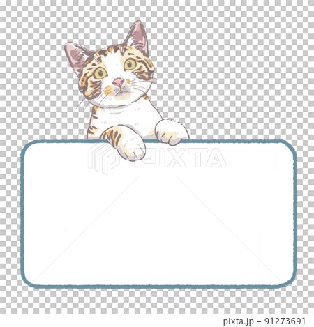 用前腿看著你的可愛貓架 用前腿看著你的可愛貓架 91273691