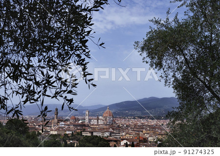 Panoramic view of Firenze Panoramic view of Firenze 91274325