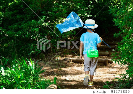 僕の夏休み 僕の夏休み 91275839