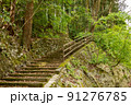 森に続く階段道 91276785