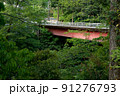 5月の赤い橋の風景 91276793