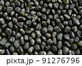 石垣のパターン 91276796