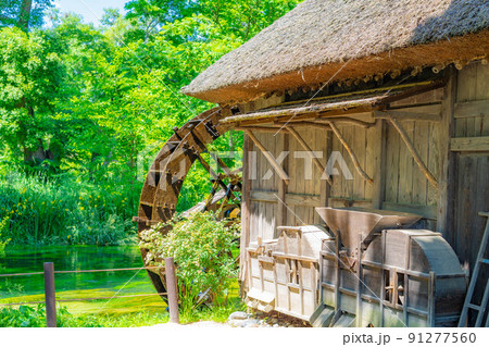 初夏の大王わさび農場の風景【長野県】 初夏の大王わさび農場の風景【長野県】 91277560