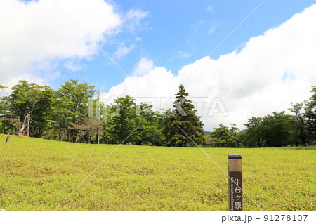 大台ヶ原　 牛石ヶ原 へ向かう【吉野熊野国立公園】 91278107