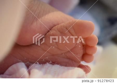 新しい命 新しい命 91278423