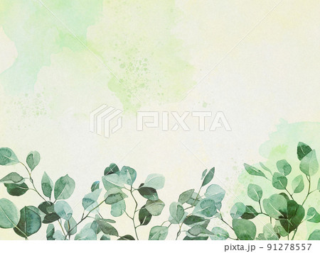 水彩絵の具 淡い色 葉 滲み 水彩絵の具 淡い色 葉 滲み 91278557