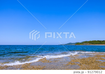 千里の浜　新緑の頃　和歌山県みなべ町 91279012