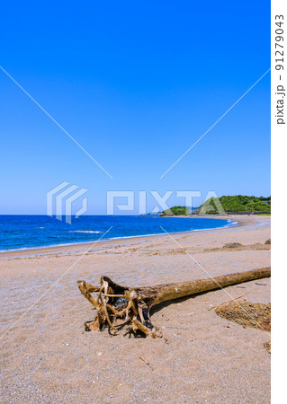 千里の浜　新緑の頃　和歌山県みなべ町 91279043