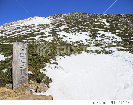 白山の高天ヶ原 91279178