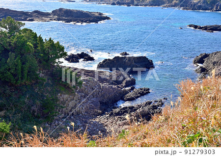 南伊豆爪木崎海岸 南伊豆爪木崎海岸 91279303