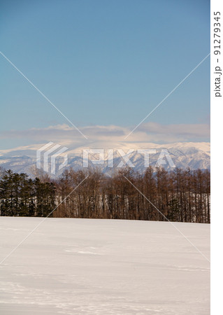 雪山と青空 雪山と青空 91279345