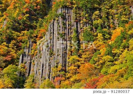 信州秋山郷 布岩の紅葉 信州秋山郷 布岩の紅葉 91280037