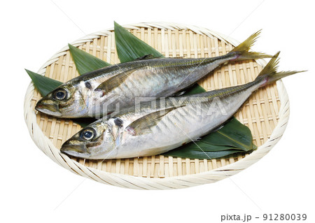 真アジ_02(パス付) 真アジ_02(パス付) 91280039