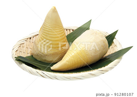 タケノコ水煮_01（パス付） 91280107