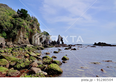 南伊豆逢ヶ浜海岸放射状節理 91280504