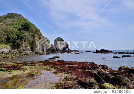 南伊豆逢ヶ浜海岸放射状節理 91280506