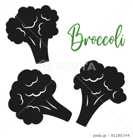 Broccoli florets silhouette set vector isolated illustration 91280744