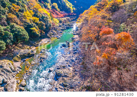保津峡の紅葉 91281430