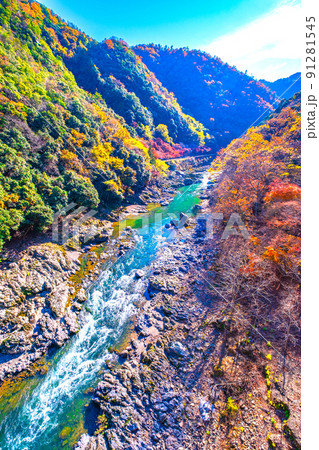保津峡の紅葉 91281545