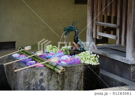 藤森神社 藤森神社 91283061