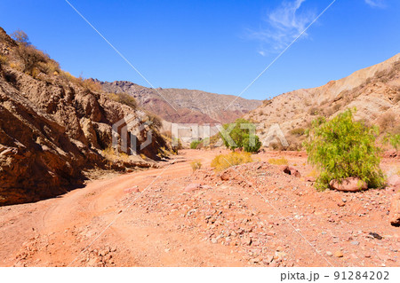 Bolivian canyon near Tupiza,Bolivia 91284202