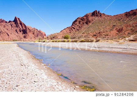 Bolivian canyon near Tupiza,Bolivia 91284206