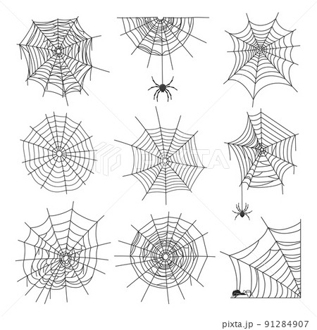 Spider webs. Halloween graphic web, black isolated cobweb and spiders. Cartoon decorative elements, tattoo or border decent vector art clipart 91284907