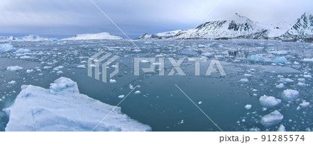 Drift floating Ice, Albert I Land, Norway Drift floating Ice, Albert I Land, Norway 91285574