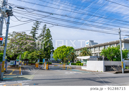 高知県高知市　晴天の国立大学法人　高知大学 91286715