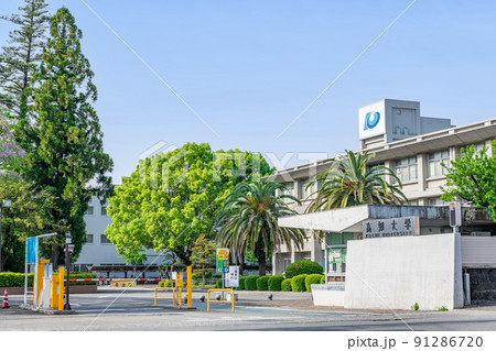高知県高知市　晴天の国立大学法人　高知大学 91286720