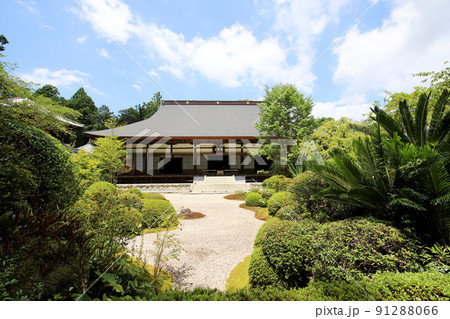 龍潭寺 奥浜名湖 静岡県 龍潭寺 奥浜名湖 静岡県 91288066