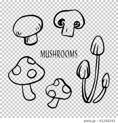各種蘑菇簡單的線條畫插圖 各種蘑菇簡單的線條畫插圖 91288243